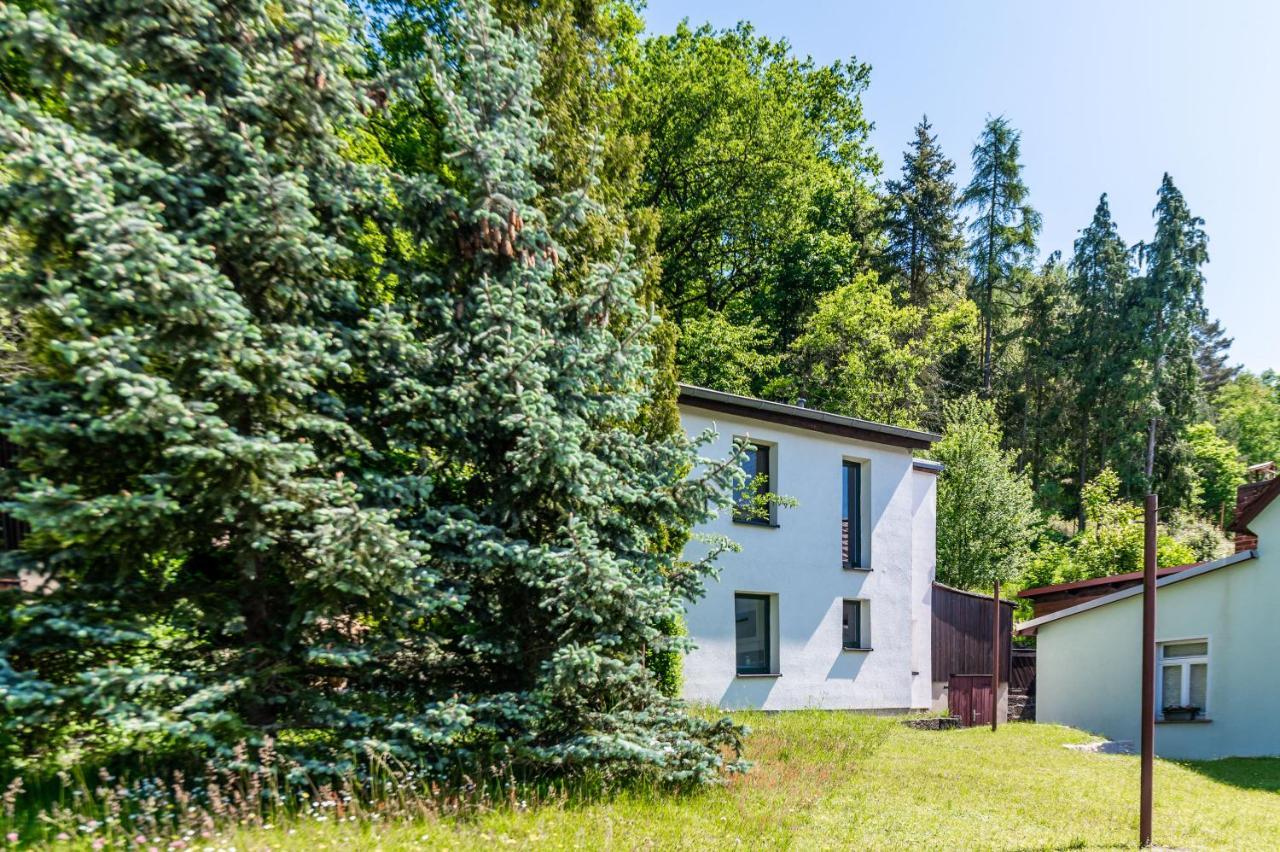 Haus Am Wald Villa Bad Schandau Buitenkant foto