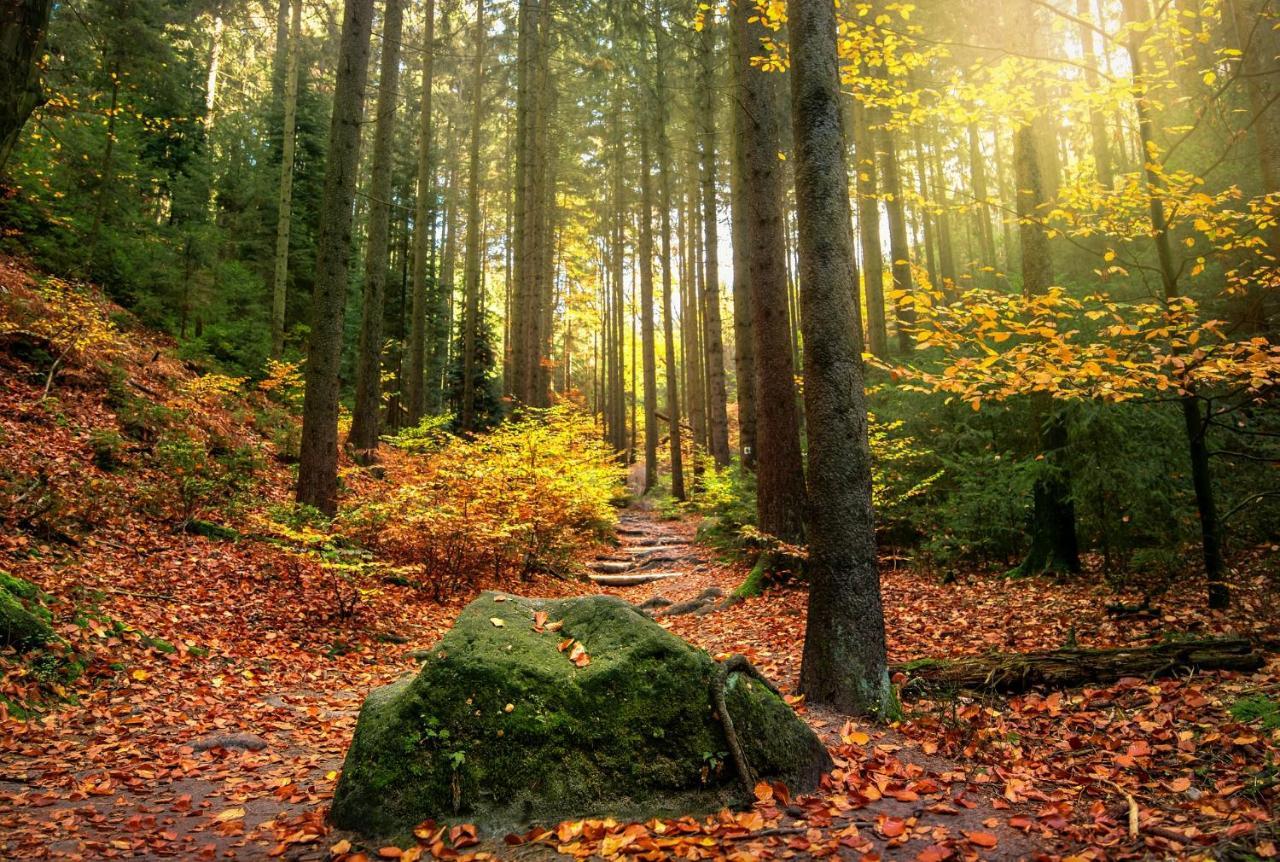 Haus Am Wald Villa Bad Schandau Buitenkant foto